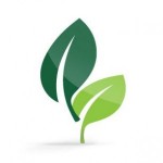 green-fact-leaf-icon-1-300x300